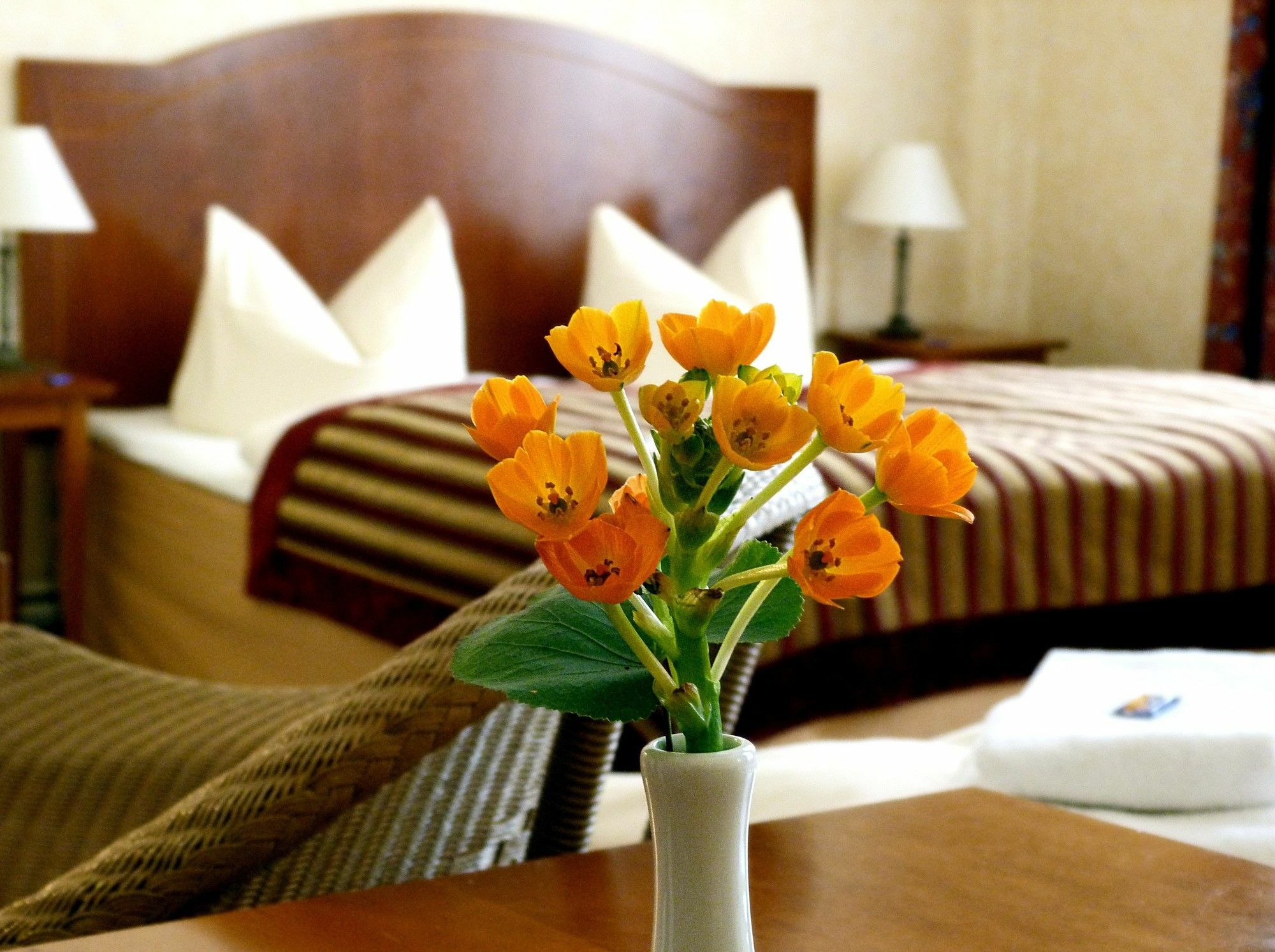Safestay Kurfurstendamm Hotel 3*